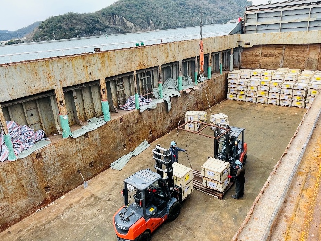 船内荷役作業