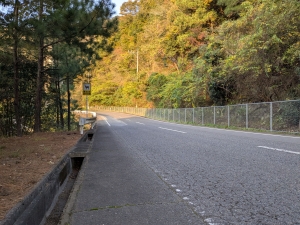 「櫂の木街道クリーン作戦」参加について(2025.11.14)